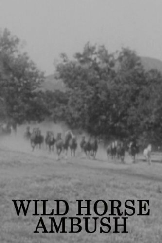 Wild Horse Ambush (1952)