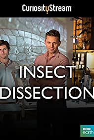 Insect Dissection: How Insects Work (2013)